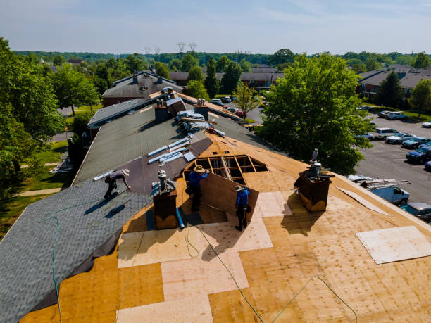 Roof Gutter Cleaning in Riverside, MO